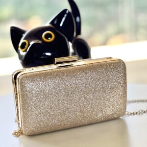 Evening Handbag